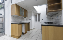 Carrickfergus kitchen extension leads